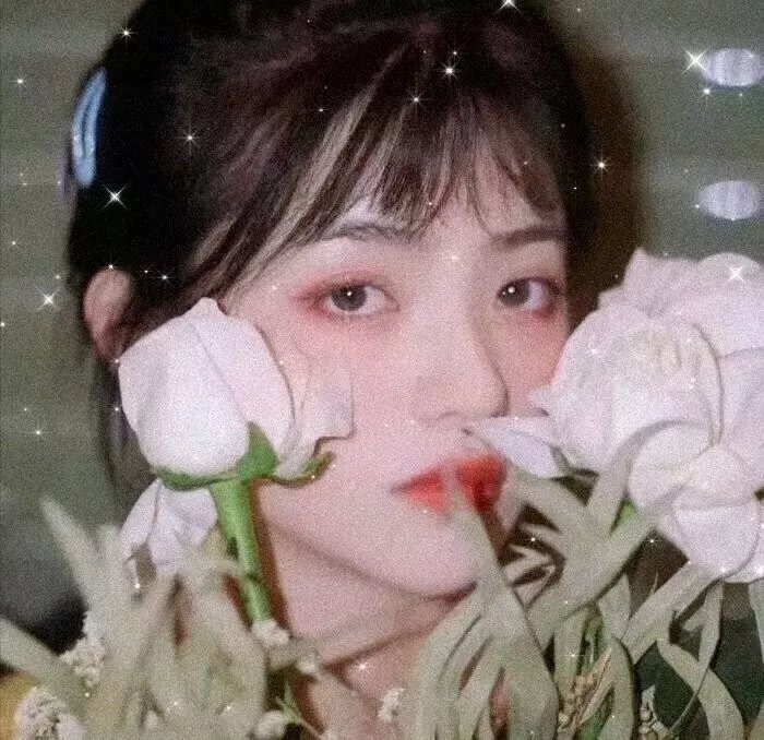 坚忍号